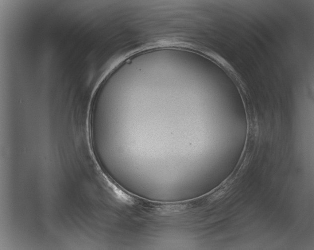 X0000054441294200508011420