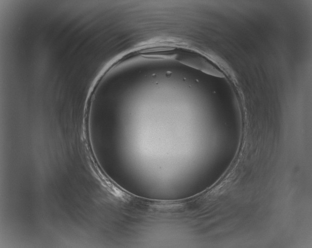 X0000054441296200508011420