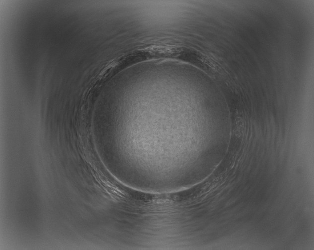 X0000054441297200508011419