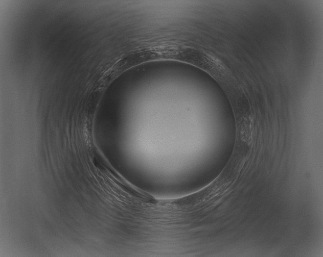X0000054441298200508011419