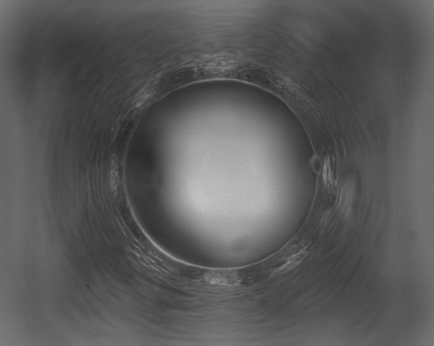 X0000054441299200508011419