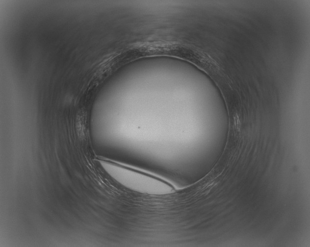 X0000054441300200508011419