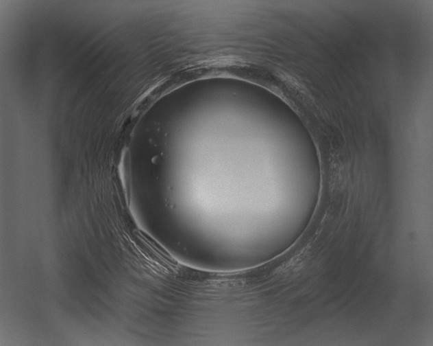X0000054441305200508011419