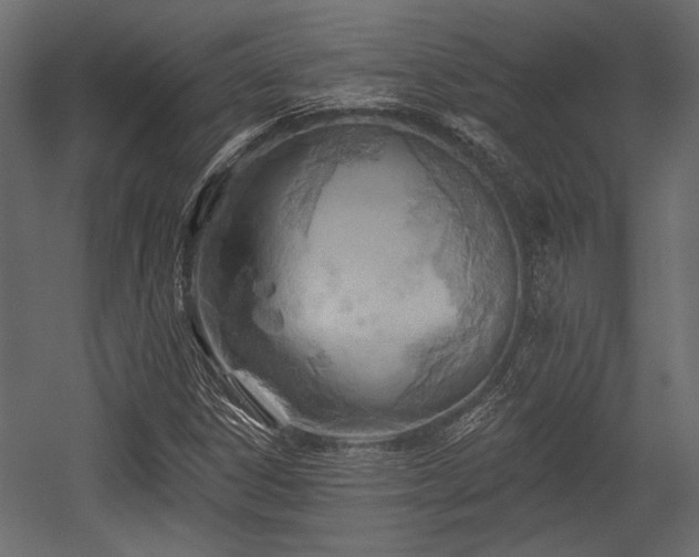X0000054441306200508011419