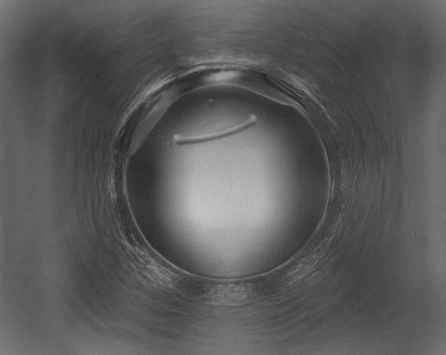 X0000054441307200508011419
