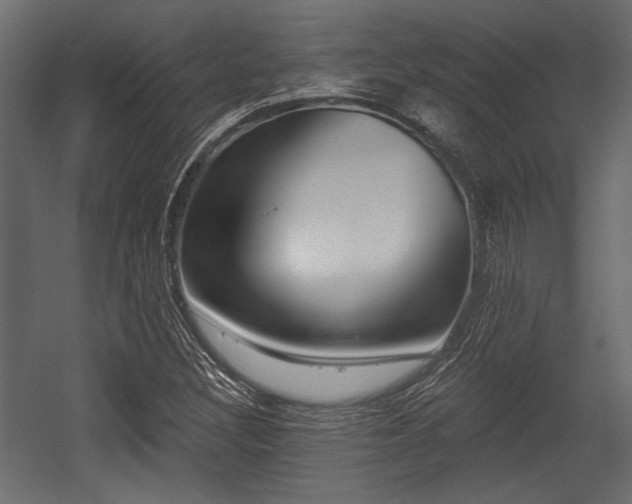 X0000054441308200508011419