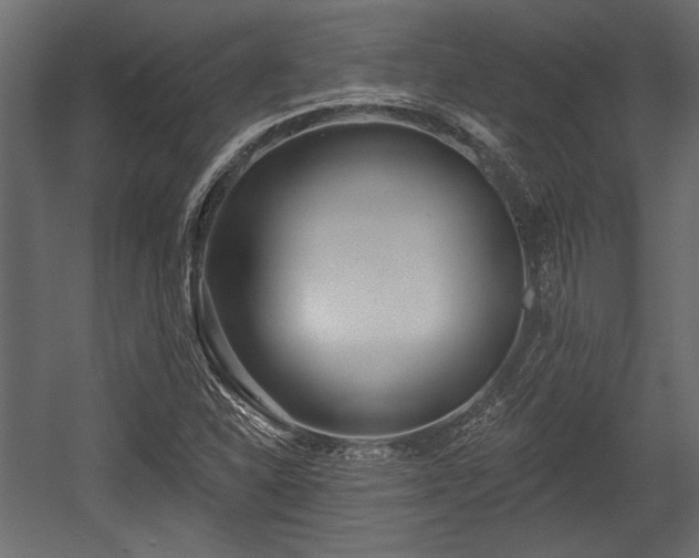 X0000054441310200508011419