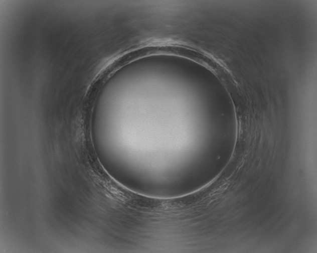 X0000054441311200508011419