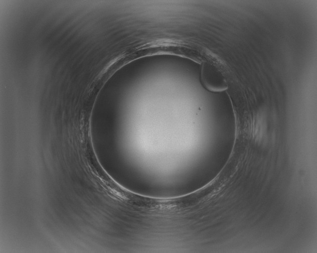 X0000054441313200508011419