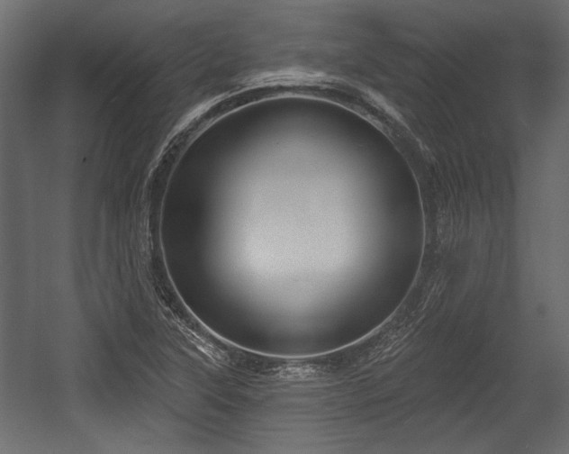 X0000054441315200508011419