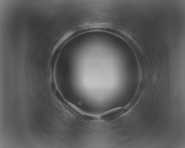 X0000054441317200508011419