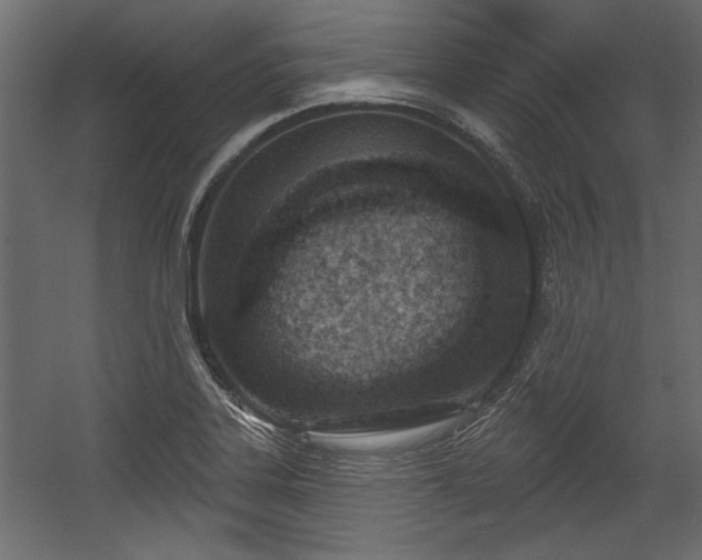 X0000054441323200508011419