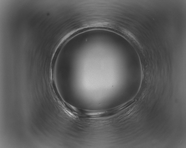 X0000054441324200508011419