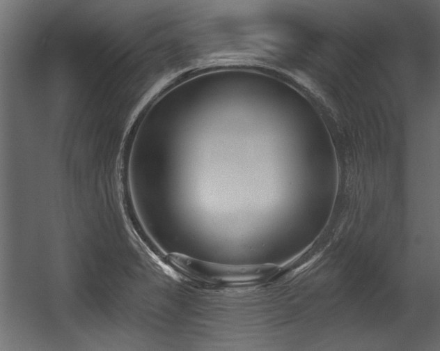 X0000054441325200508011419