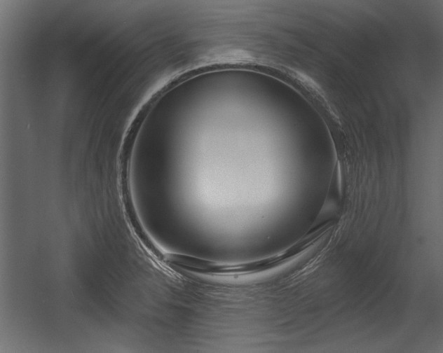 X0000054441326200508011419