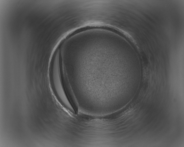 X0000054441327200508011419