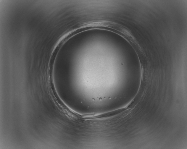 X0000054441328200508011419