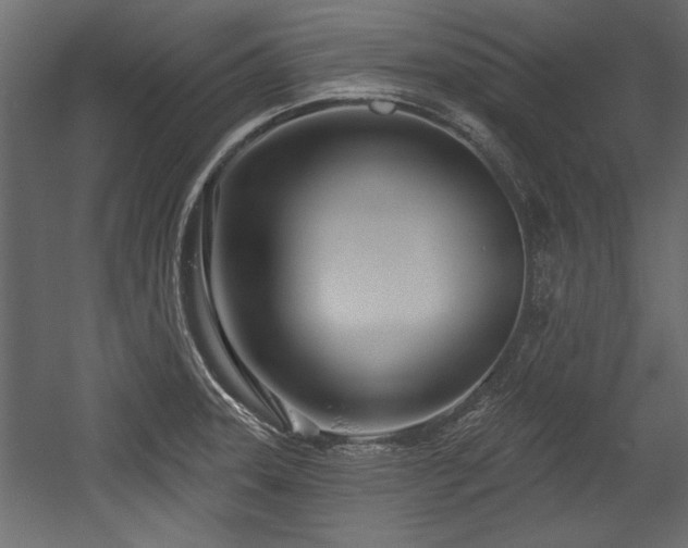 X0000054441331200508011419