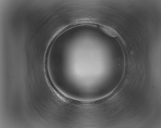 X0000054441333200508011419