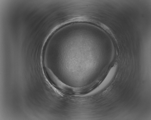 X0000054441334200508011419