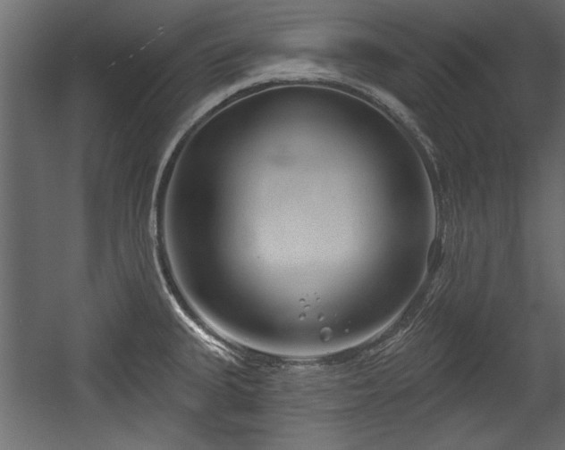 X0000054441335200508011419