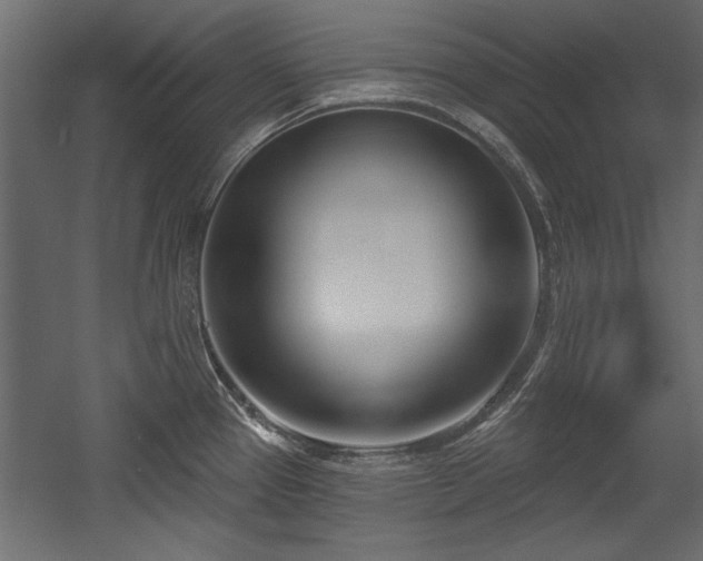 X0000054441337200508011419