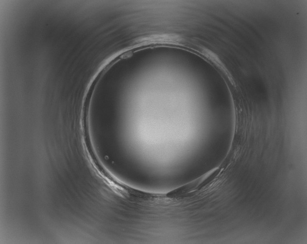 X0000054441339200508011420