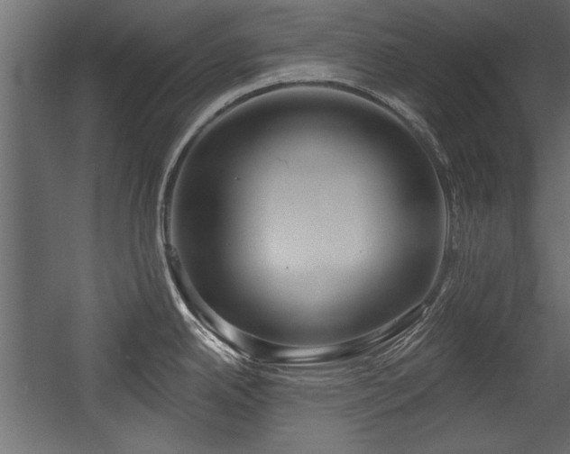 X0000054441342200508011420