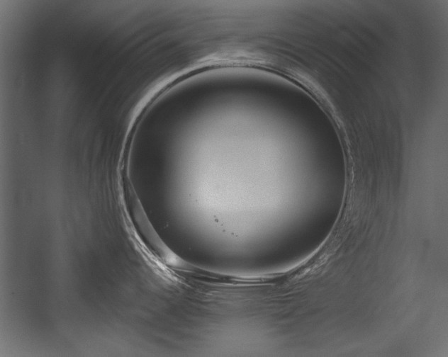 X0000054441344200508011420