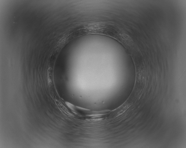 X0000054441346200508011419