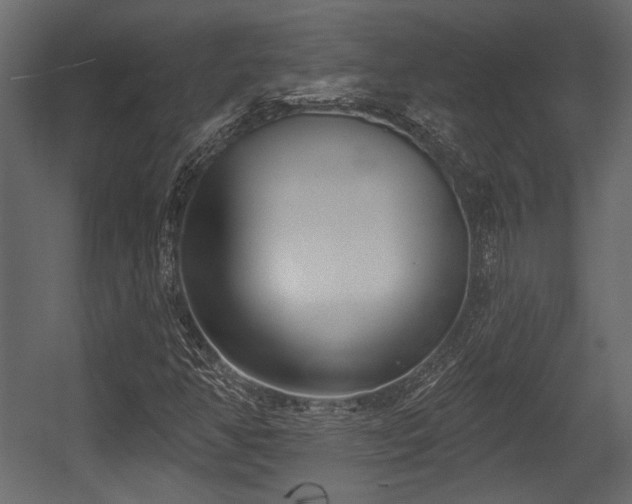 X0000054441350200508011419