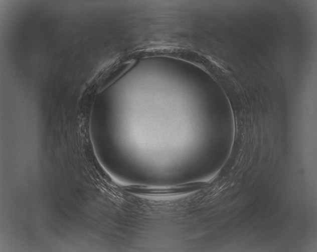 X0000054441351200508011419