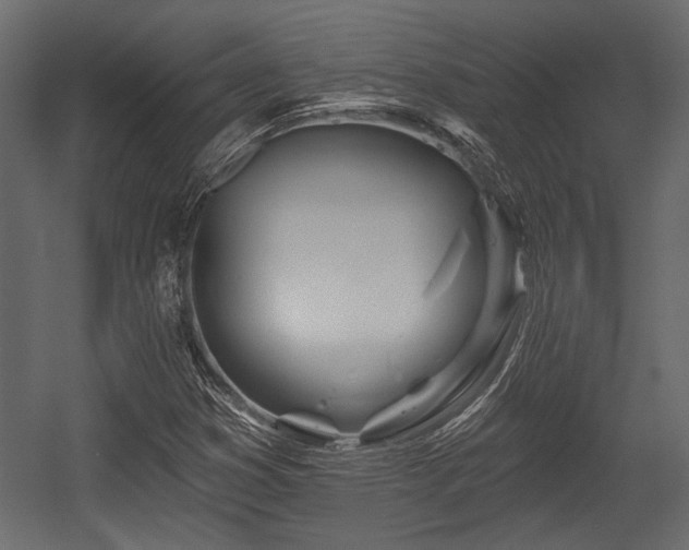 X0000054441353200508011419