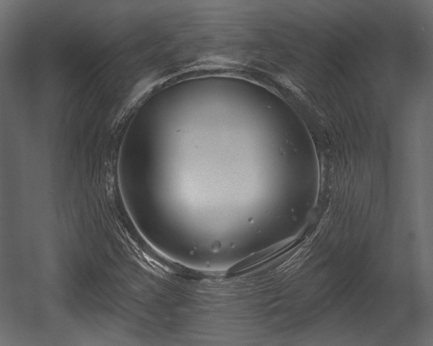 X0000054441355200508011419