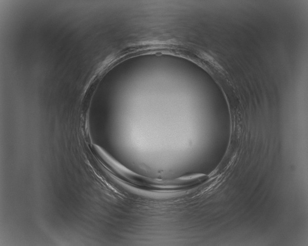X0000054441357200508011419