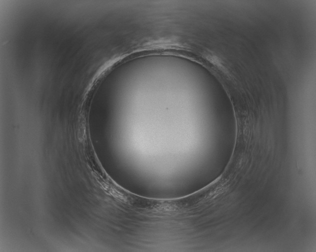 X0000054441358200508011419
