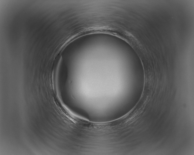 X0000054441361200508011419