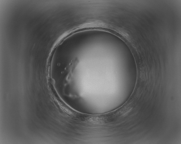 X0000054441366200508011418