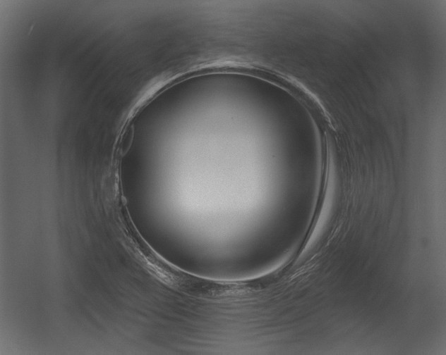 X0000054441367200508011418