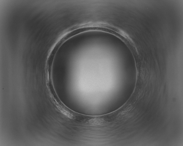 X0000054441368200508011418