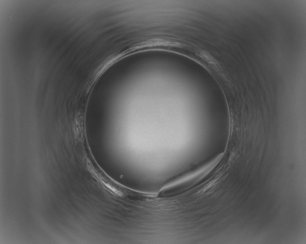 X0000054441369200508011418