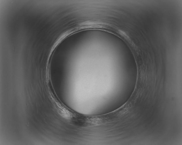 X0000054441370200508011418