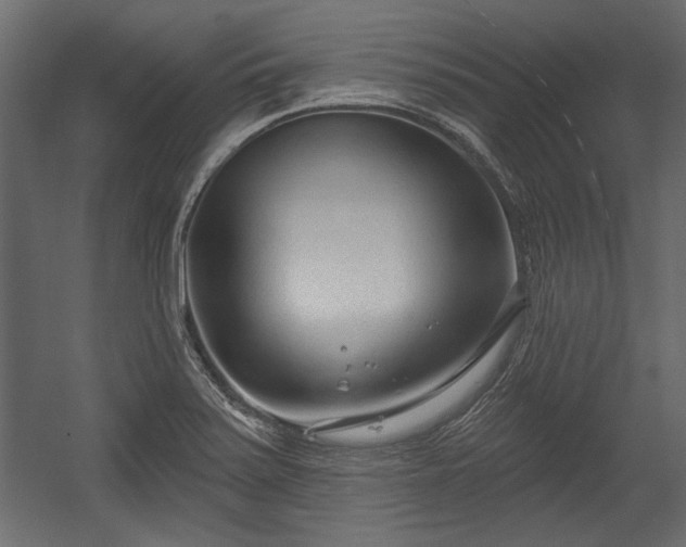 X0000054441371200508011418