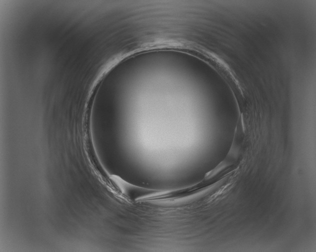 X0000054441373200508011418