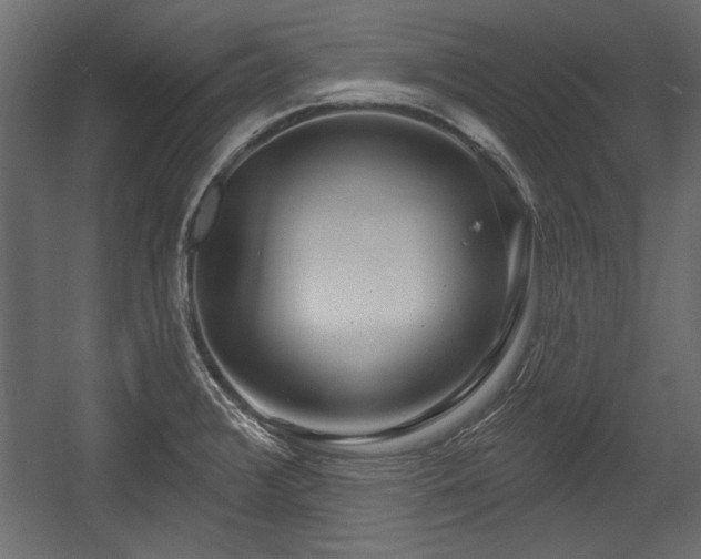 X0000054441376200508011418