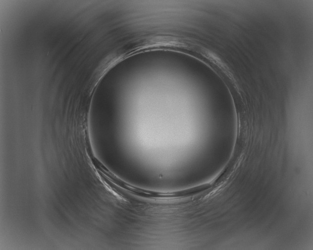 X0000054441377200508011418