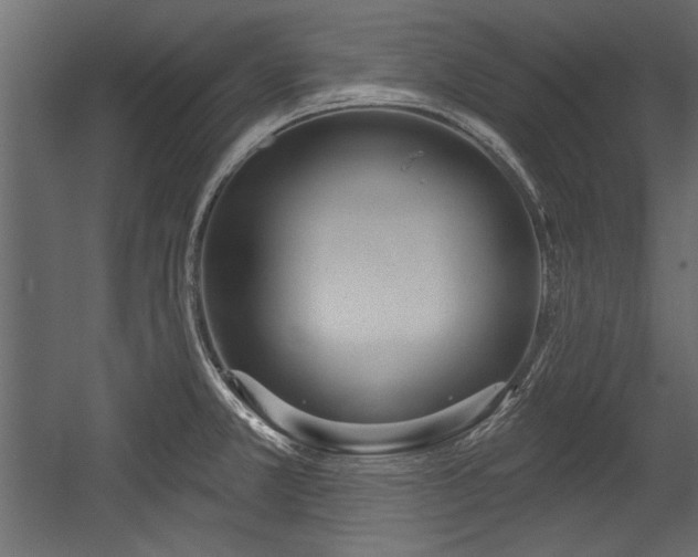 X0000054441381200508011418