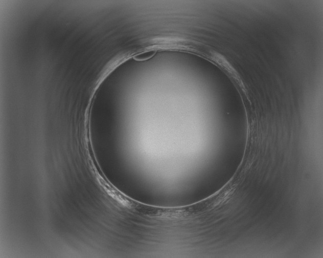 X0000054441386200508011418