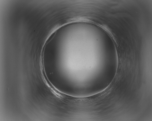 X0000054441391200508011418