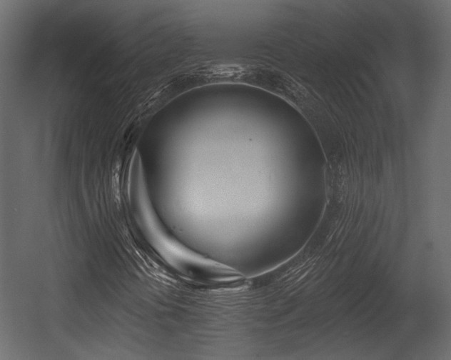 X0000054441394200508011417